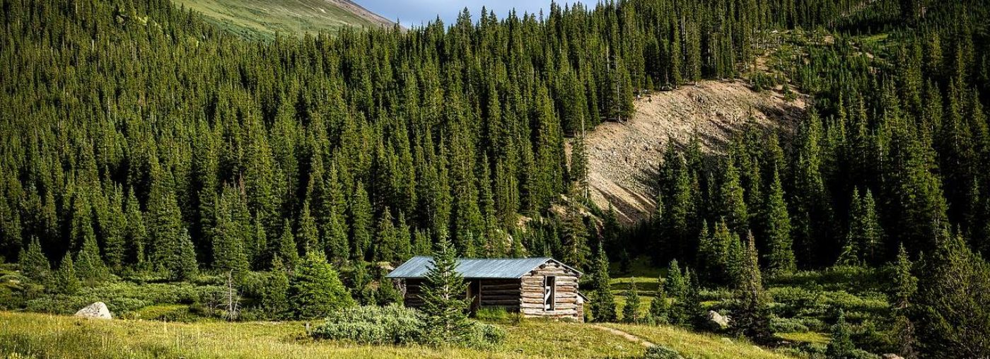 Photo of log cabin surrounded by woods