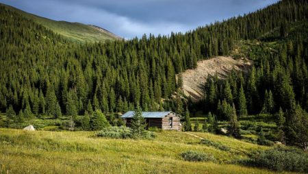 Photo of log cabin surrounded by woods